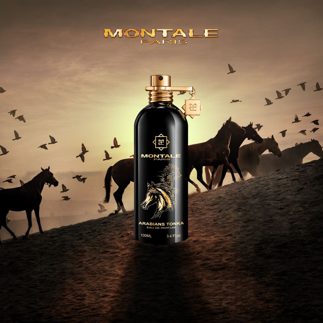 Arabians Tonka Montale Paris